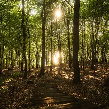 Schody Do Wody Z Linia Brzegowa Kaszuby Sauna Goraca Balia Alpstuga