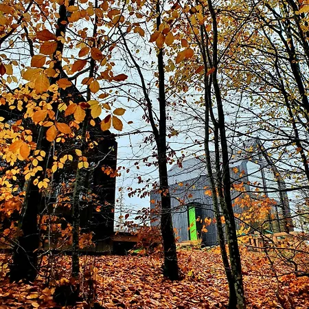 Schody Do Wody Z Linia Brzegowa Kaszuby Sauna Goraca Balia Alpstuga *