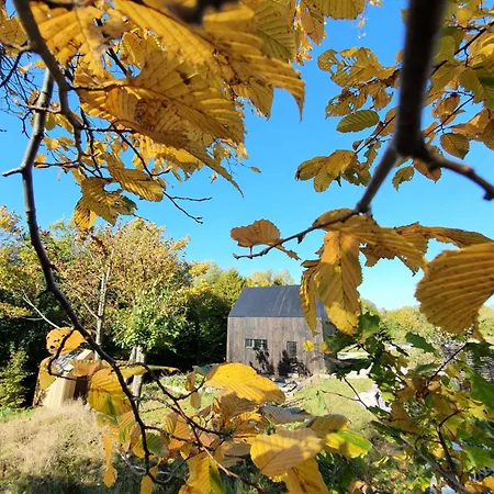 Schody Do Wody Z Linia Brzegowa Kaszuby Sauna Goraca Balia Alpstuga *