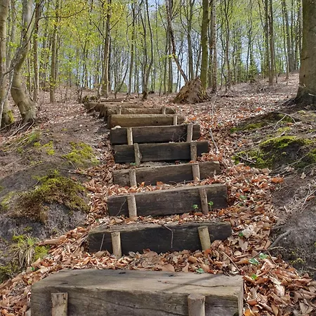 Alpstuga Schody Do Wody Z Linia Brzegowa Kaszuby Sauna Goraca Balia Roztoka (Gdansk)