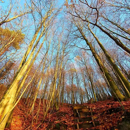 Alpstuga Schody Do Wody Z Linia Brzegowa Kaszuby Sauna Goraca Balia
