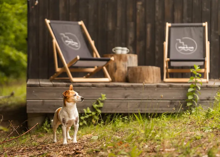 木屋 Schody Do Wody Z Linia Brzegowa Kaszuby Sauna Goraca Balia Roztoka (Gdansk)