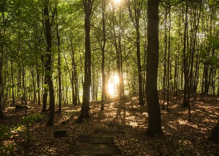 Schody Do Wody Z Linia Brzegowa Kaszuby Sauna Goraca Balia Chalet