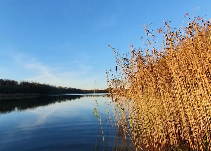 Schody Do Wody Z Linia Brzegowa Kaszuby Sauna Goraca Balia 木屋 *