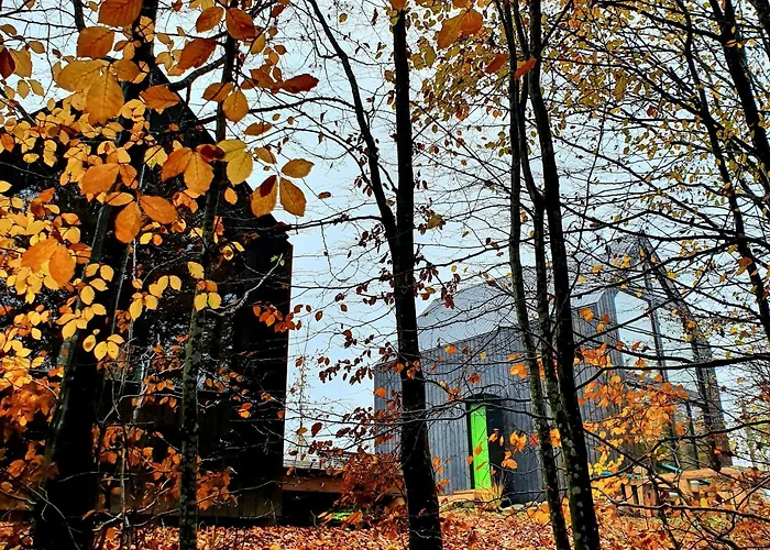 Schody Do Wody Z Linia Brzegowa Kaszuby Sauna Goraca Balia Chalet *