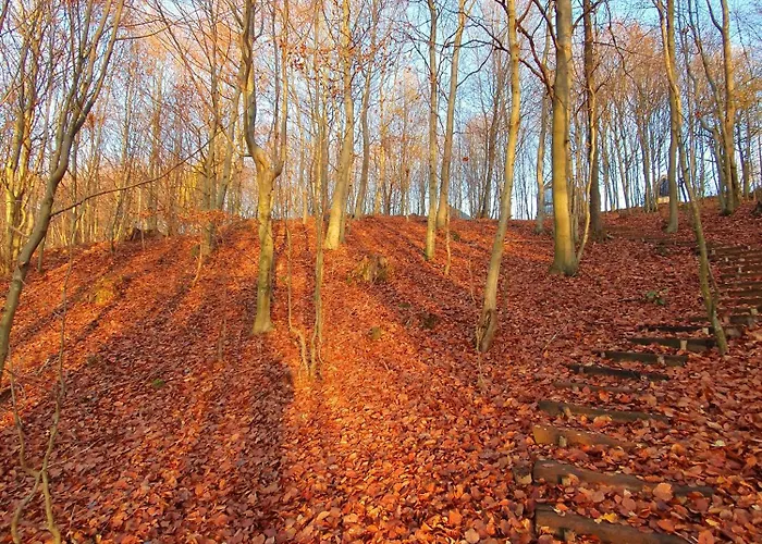 Schody Do Wody Z Linia Brzegowa Kaszuby Sauna Goraca Balia Roztoka (Gdansk)