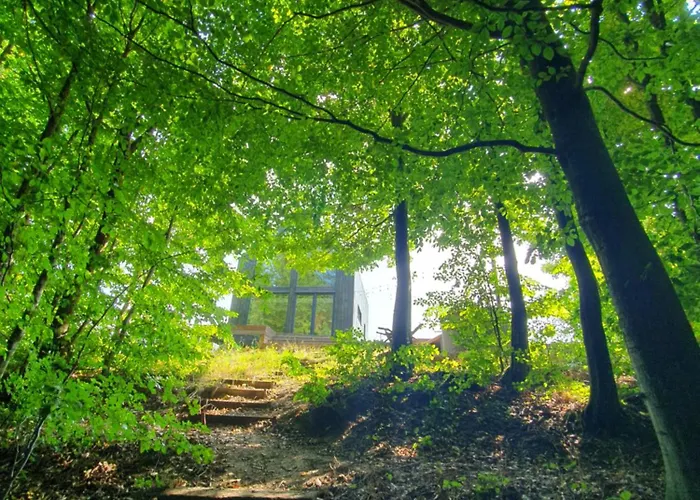 Schody Do Wody Z Linia Brzegowa Kaszuby Sauna Goraca Balia * Roztoka (Gdansk)