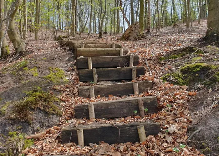 Chalet Schody Do Wody Z Linia Brzegowa Kaszuby Sauna Goraca Balia Roztoka (Gdansk)