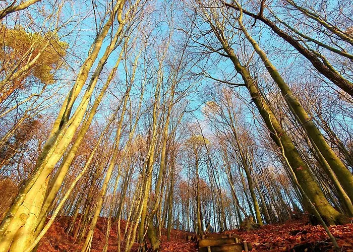 Chalet Schody Do Wody Z Linia Brzegowa Kaszuby Sauna Goraca Balia